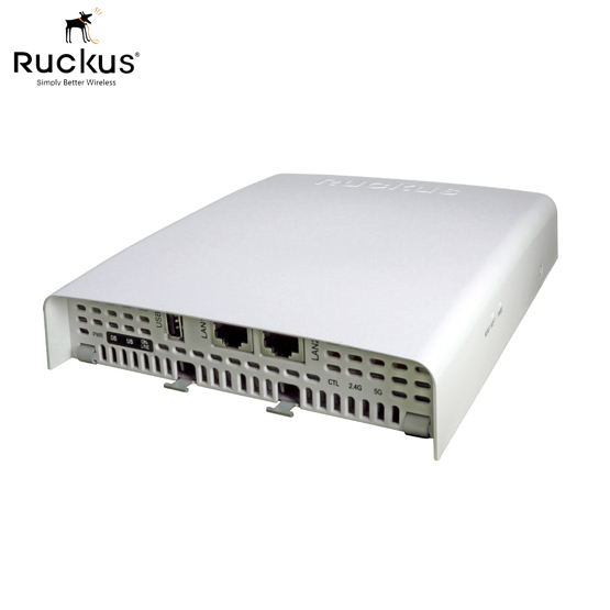 Ruckus 901-C110-US00 C110 AP Access Point SmartZone | ZoneDirector